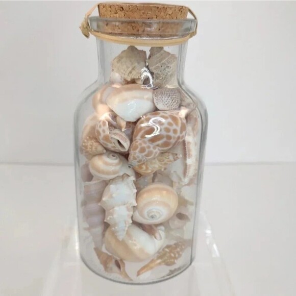 Florida Seashells in Glass Jar with cork Stopper NWOT Handmade Custom Gift - Picture 7 of 16